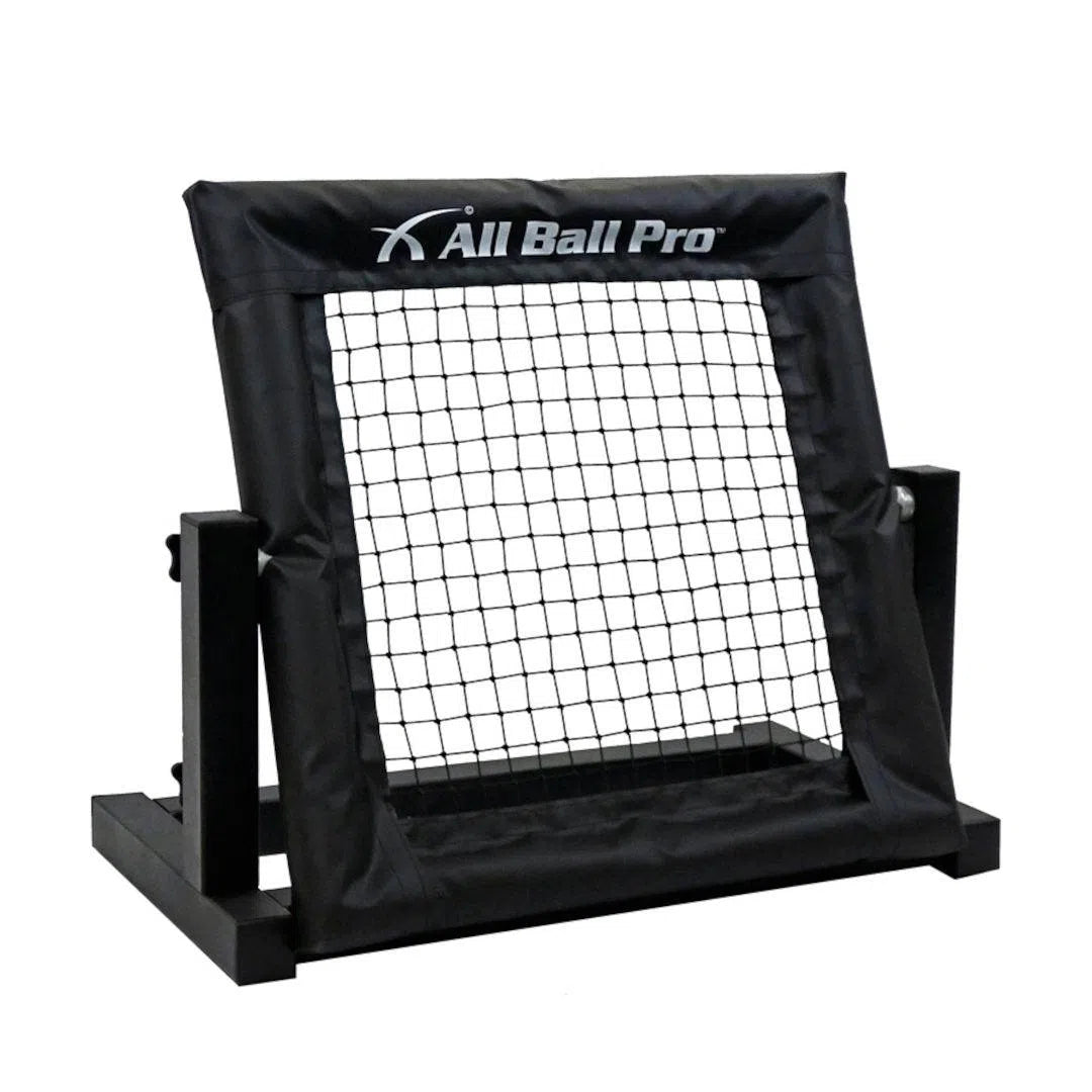 All Ball Pro Mini Pro Rebounder