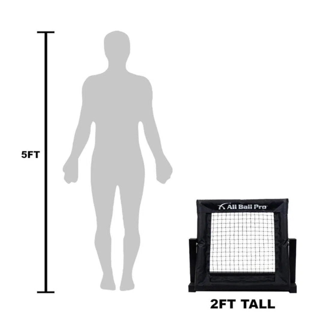 All Ball Pro Mini Pro Rebounder