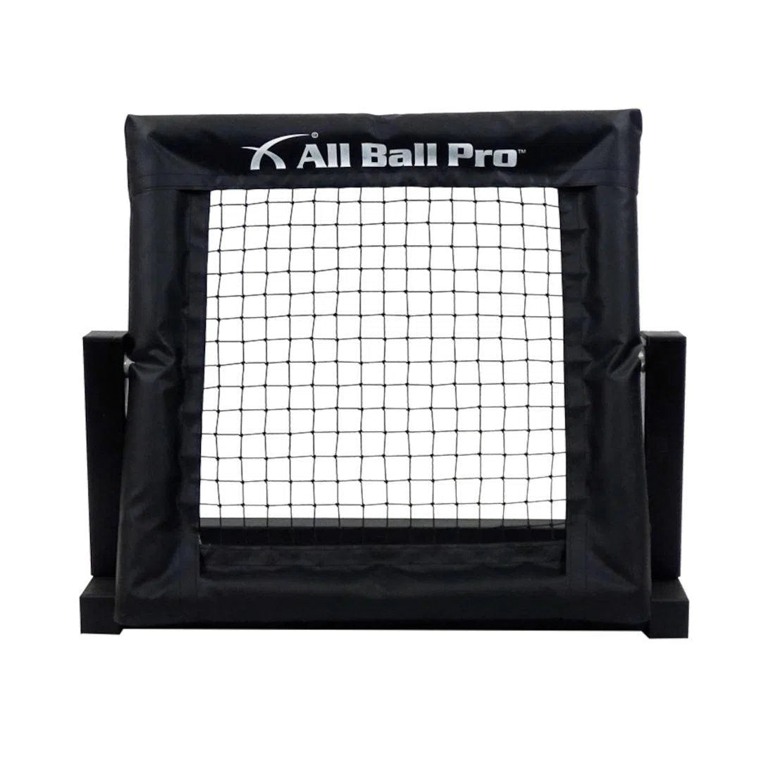 All Ball Pro Mini Pro Rebounder